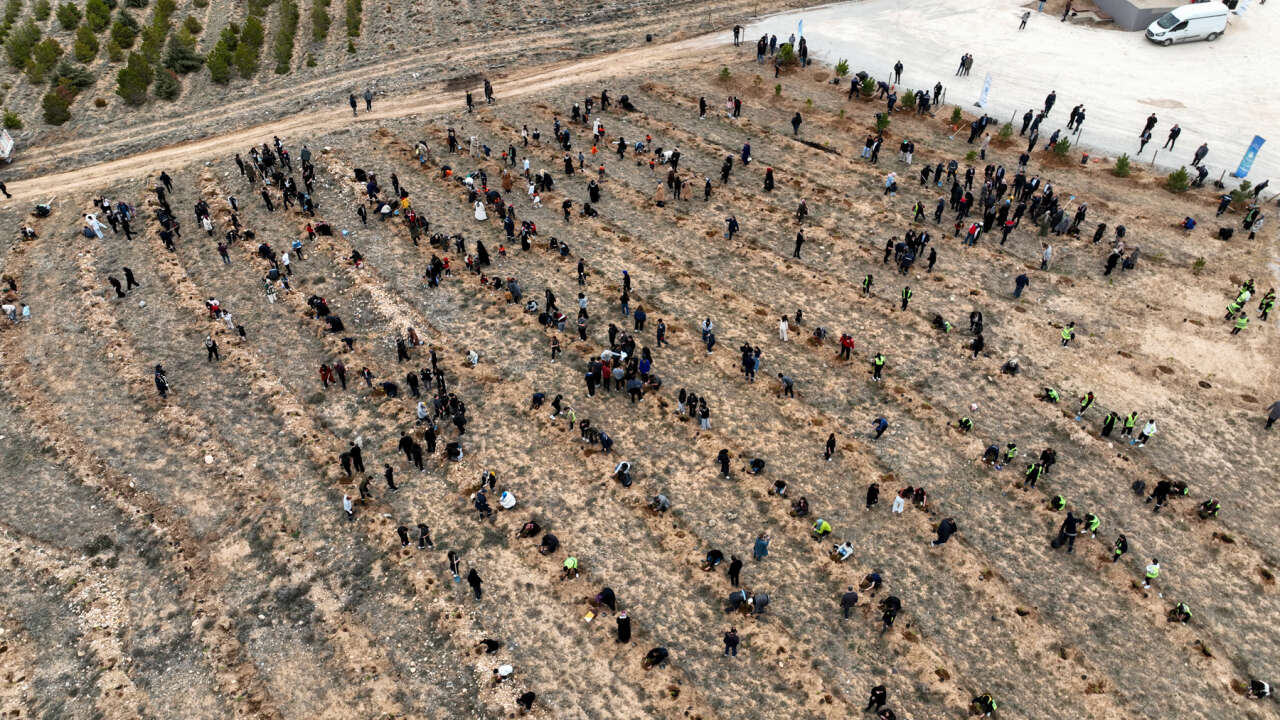 Konya’da karbon yutak alanı oluşturuldu 10